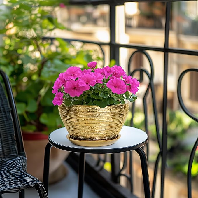Ceramic Plant Pot Indoor - Image 5