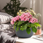 T4U 8 Inch Plant Pots, 2 Pack Self Watering Planter - Image 7