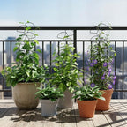Plant Trellis for Climbing Plants Indoor Outdoor, Trlzey 3 Pack Stackable Metal - Image 6