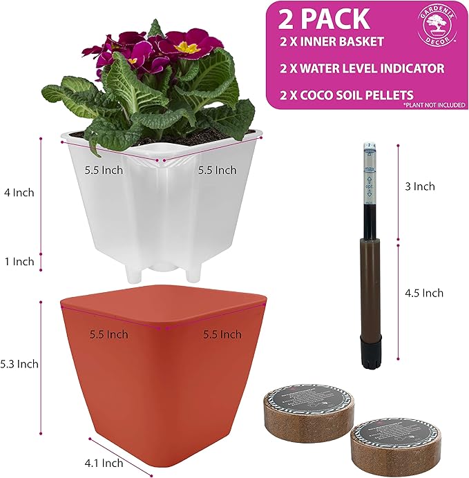GARDENIX DECOR 5" Self Watering pots - Image 2