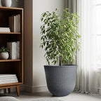 WORTH Garden Round Large Planter Pot 1-Pack - Image 5