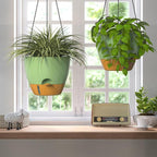 ZMTECH 12 Inch Hanging Planters - Image 7