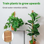 2 Pack 60 Inch Moss Pole Monstera Plant Support, Coir Moss Poles - Image 9