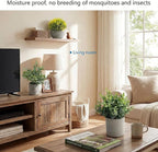 Fake Plants, 5 Pack Artificial Eucalyptus & Greenery in Cement Pots - Image 3
