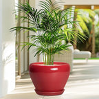 10 Inch Plant Pot - Image 4