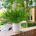 32 Pcs Artificial Grass Fake Plants 17.3in Outdoor Plants UV Resistant Faux - Image 3