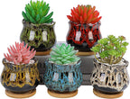 Cute Ceramic Succulent Garden Pots, Planter - Image 7