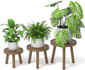 3-Pack Wood Plant Stands Indoor, Single Plant Stand by Unknown