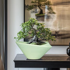 Ceramic Bonsai Pots - Image 2