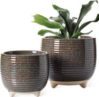 LE TAUCI Ceramic Plant Pots, 5.1 + 6.4 Inch Footed Pots by LETAUCI