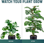 2 Pack 42'' Bendable Moss Pole Monstera Plant Support - Image 6