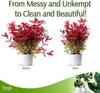 Mini Twigs Plant Support Stakes - Image 7