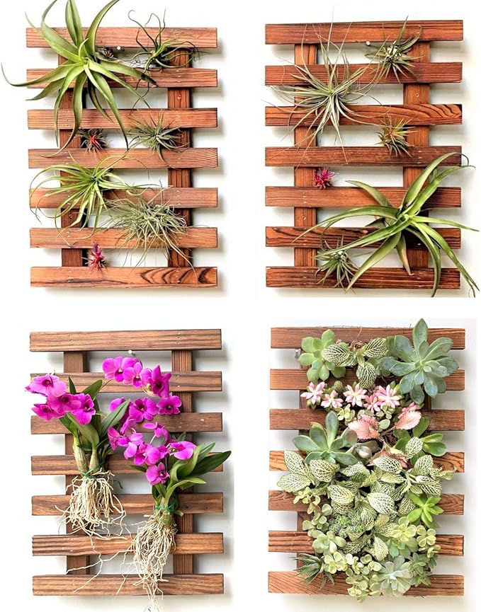 ShopLaLa Wall Planters by ShopLaLa