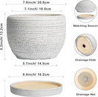 SQOWL Ceramic Plant Pots - Image 3