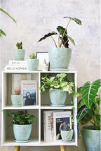 8 Inch + 6 Inch Plant Pots for Indoor Plants, Ceramic Planter - Image 8