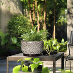 SQOWL Ceramic Plant Pots - Image 5
