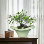 Ceramic Bonsai Pots - Image 2