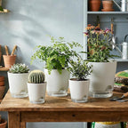 GARDIFE 2026 Upgraded Self Watering Plant Pots - Image 6