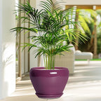 Ceramic Planter - Image 4