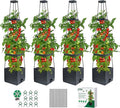 MQUPIN Tomato Planter Box with Trellis by MQUPIN