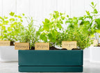 D'vine Dev 12 Inch Window Box Planter, Rectangle Plastic Herb Planter - Image 7