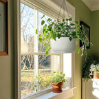 T4U 12 Inch Large Hanging Planters - Image 7