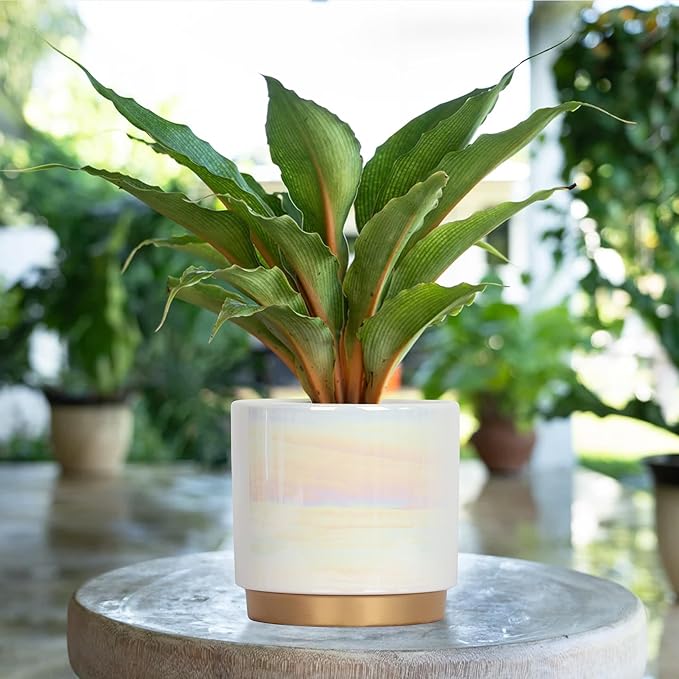 Gepege White Indoor Pots for Plants, Ceramic Planter - Image 6