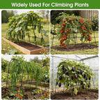 Cucumber Trellis for Raised Bed, U-Shape Garden Trellis for Climbing Plants - Image 7