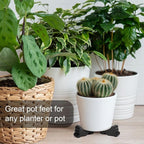 Kigeli 6 Pcs Resin Garden Pot Feet - Image 5