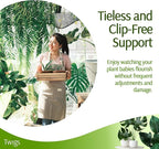 Stackable Plant Support Stakes, Indoor & Outdoor Houseplant Stem Support - Image 3