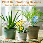 Plant Automatic Watering Devices - Image 2
