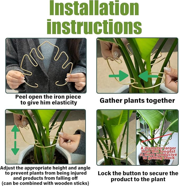 5PCS Monstera Plant Stem Support - Image 5