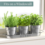 Barnyard Designs Indoor Herb Garden Planter Set - Image 3