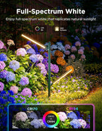 Govee Outdoor Garden Lights 2 Pack, RGBWWIC Smart LED Pathway Lights - Image 3
