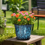 Ceramic Plant Pots - Image 4