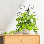 Indoor Plant Trellis for Climbing Plants, Stackable Garden Trellis for Potted - Image 8