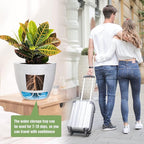 10/9/8 inch Self Watering Pots - Image 7