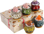 Cute Ceramic Succulent Garden Pots, Planter - Image 8