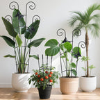 4 Pack 30 InchTaller Plant Trellis - Image 2