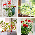 Plant Stakes, Plant Sticks 20PCS Acrylic Clear Plant Support Stakes, 16 Inches - Image 6