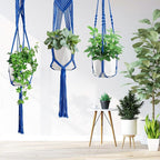Macrame Plant Hangers - Image 3