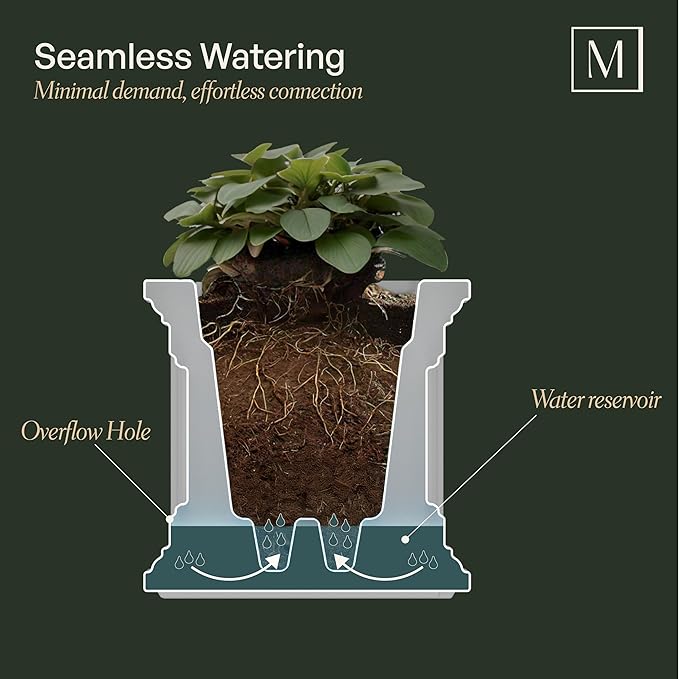 Mayne Fairfield 3-Foot Window Box – Self-Watering, Weather-Resistant Planter - Image 2