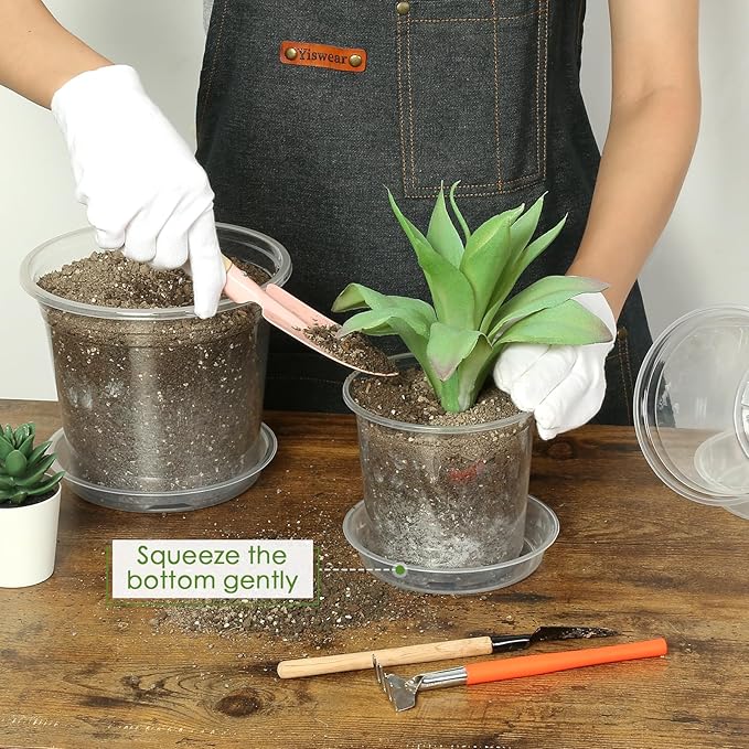 5 Inch Clear Nursery Pots for Plants - Image 4