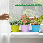 Herb Garden Planter Indoor Kit – 6 Metal Pots - Image 5