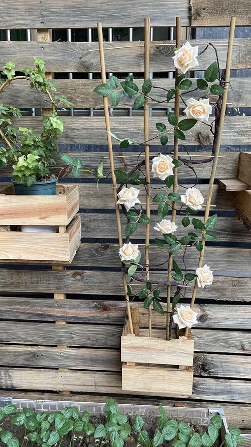 Natural Bamboo Trellis, Fan-Shaped Plant Support Trellis - Image 5