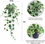 Fake English Ivy Plants in Pots Set of 2 – Realistic Artificial Ivy Greenery - Image 2