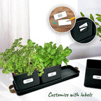 volila Herb Planter Indoor - Image 3