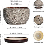 SQOWL Ceramic Plant Pots - Image 3