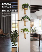 Bamworld Wall Plant Holder Wall Planters - Image 4