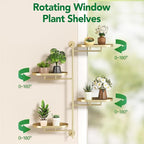 Rotating Window Shelves for Multiple Plants Indoor, 4-tier Metal Corner golden - Image 3